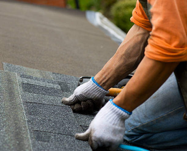 Best Roof Gutter Cleaning  in Wendover, UT